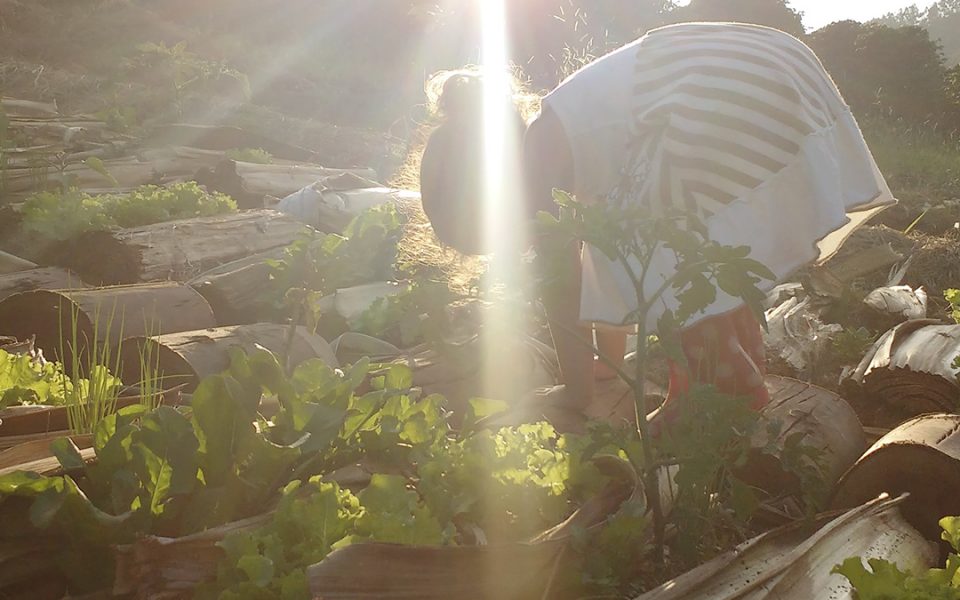 05.20_IMG_20180207_SEG