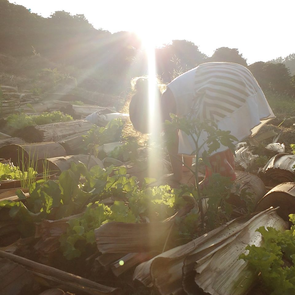 05.20_IMG_20180207_SEG