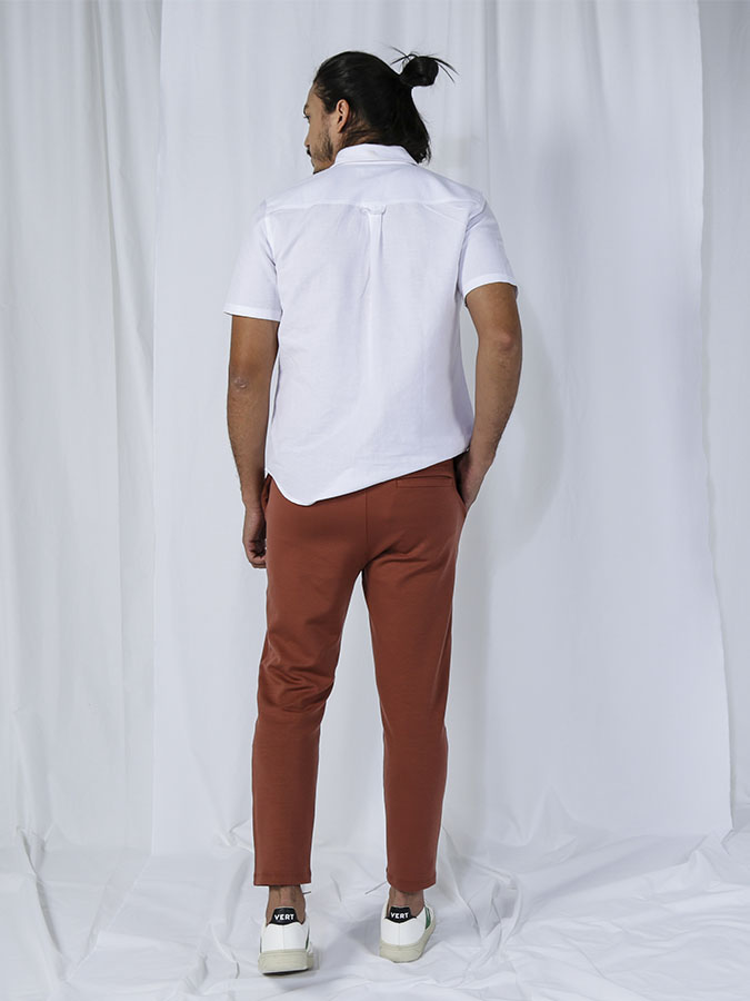 Bloe_18012021_9015 wordpress