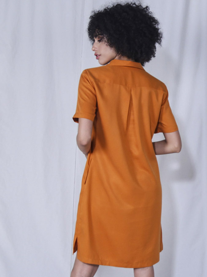 0082FVT Chemise Liocel IMG_6095 wordpress